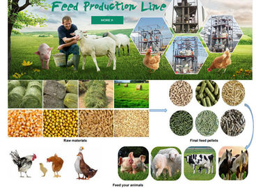 สายการผลิตอาหารสัตว์อุตสาหกรรมอุปกรณ์การผลิตอาหารสัตว์ปีก